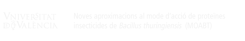Logo del portal
